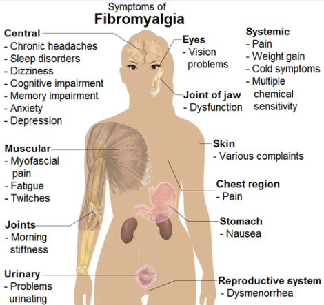fibro